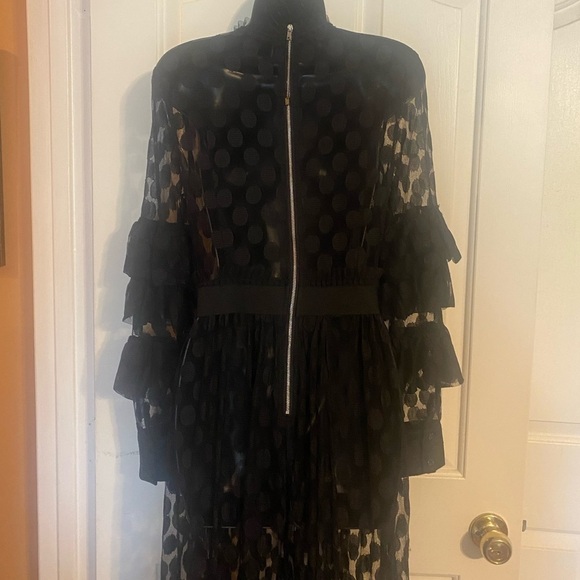 SHEER MESH POLKA DOT TIERED RUFFLE DRESS - Picture 12 of 15